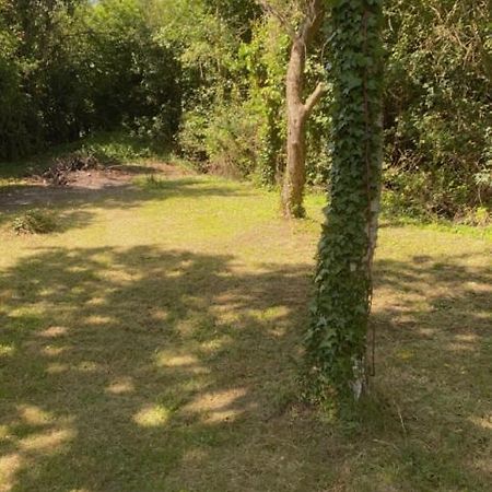 Stansted Glamping Hotel Broxted Kültér fotó