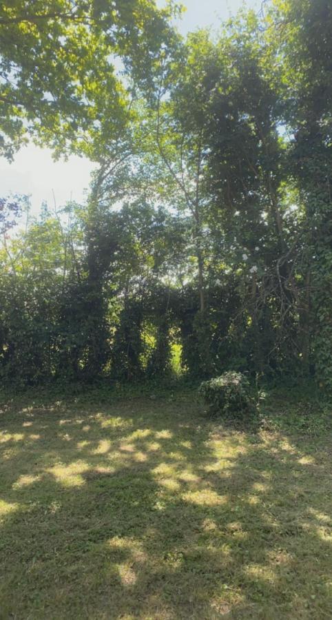 Stansted Glamping Hotel Broxted Kültér fotó